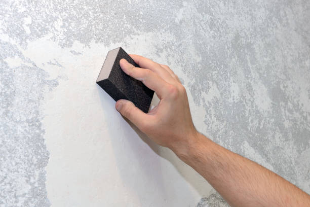 Best Mold Remediation for Healthcare Facilities  in Wrightwood, CA