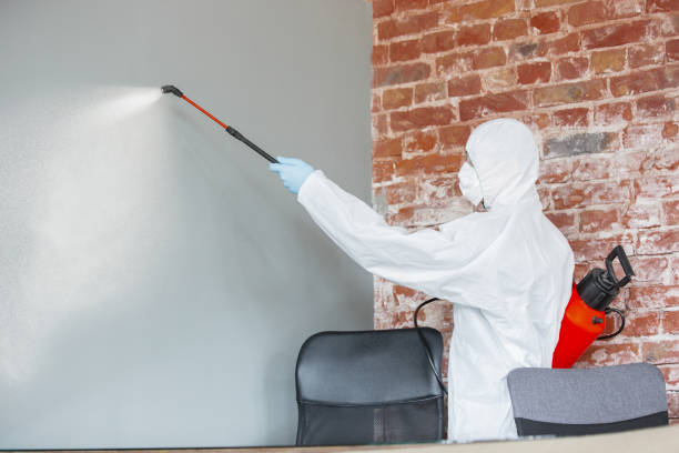 Best Post-Construction Mold Inspection  in Wrightwood, CA