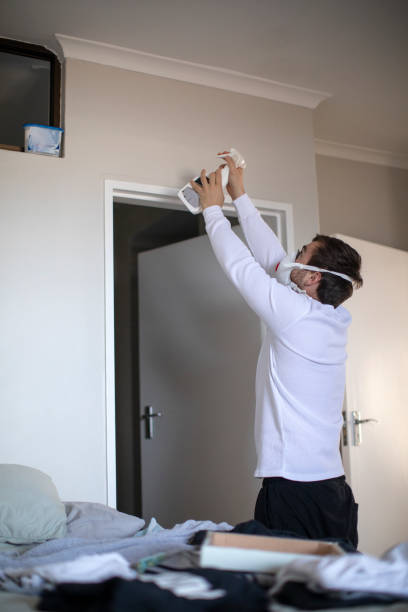 Best Air Quality Testing for Mold Spores  in Wrightwood, CA