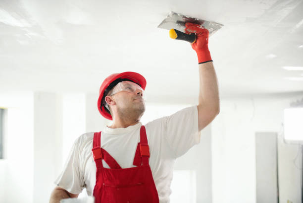 Best Post-Remediation Verification Testing  in Wrightwood, CA