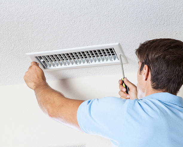 Best Mold Documentation for Insurance Claims  in Wrightwood, CA