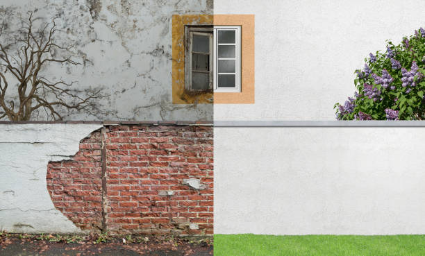 Best Industrial Mold Remediation  in Wrightwood, CA